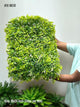 WC10 Artificial Green Wall Panel (Set of 5)