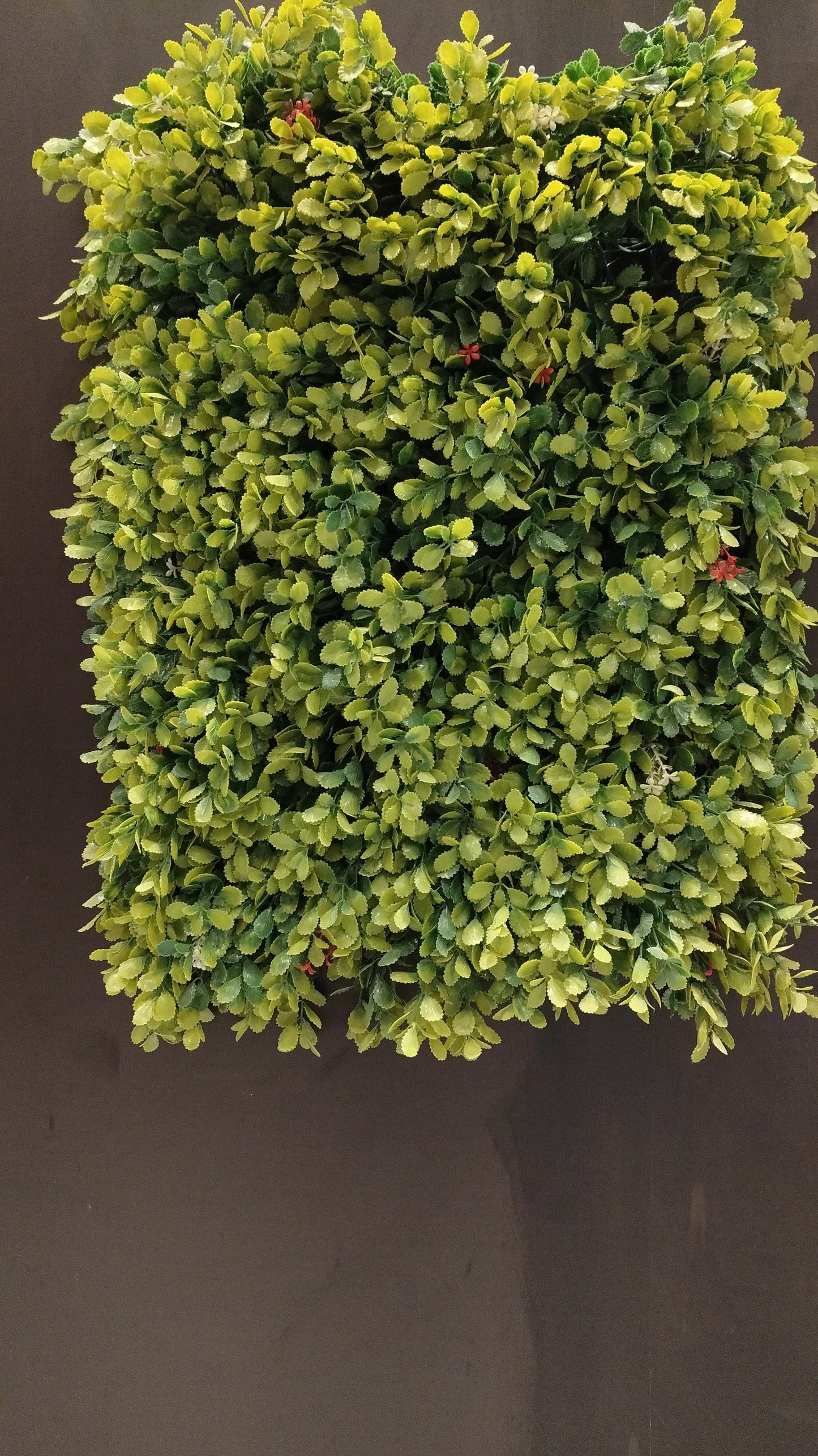 WC09 Artificial Green Wall Panel (Set of 5) SWASTIK CREATIONS The Trend Point