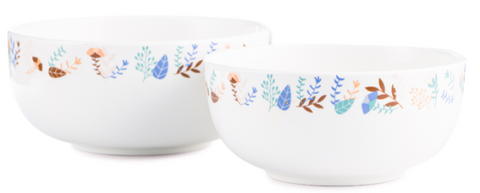 Tupperware PORCELAIN BOWL_SET OF 2 - SWASTIK CREATIONS The Trend Point