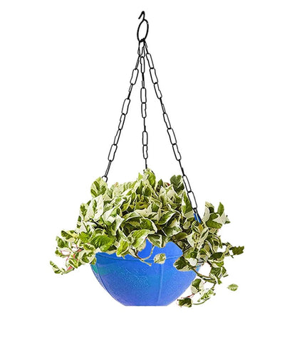 3851 Flower Pot Plant with Hanging Chain for Houseplants Garden Balcony Decoration - SWASTIK CREATIONS The Trend Point