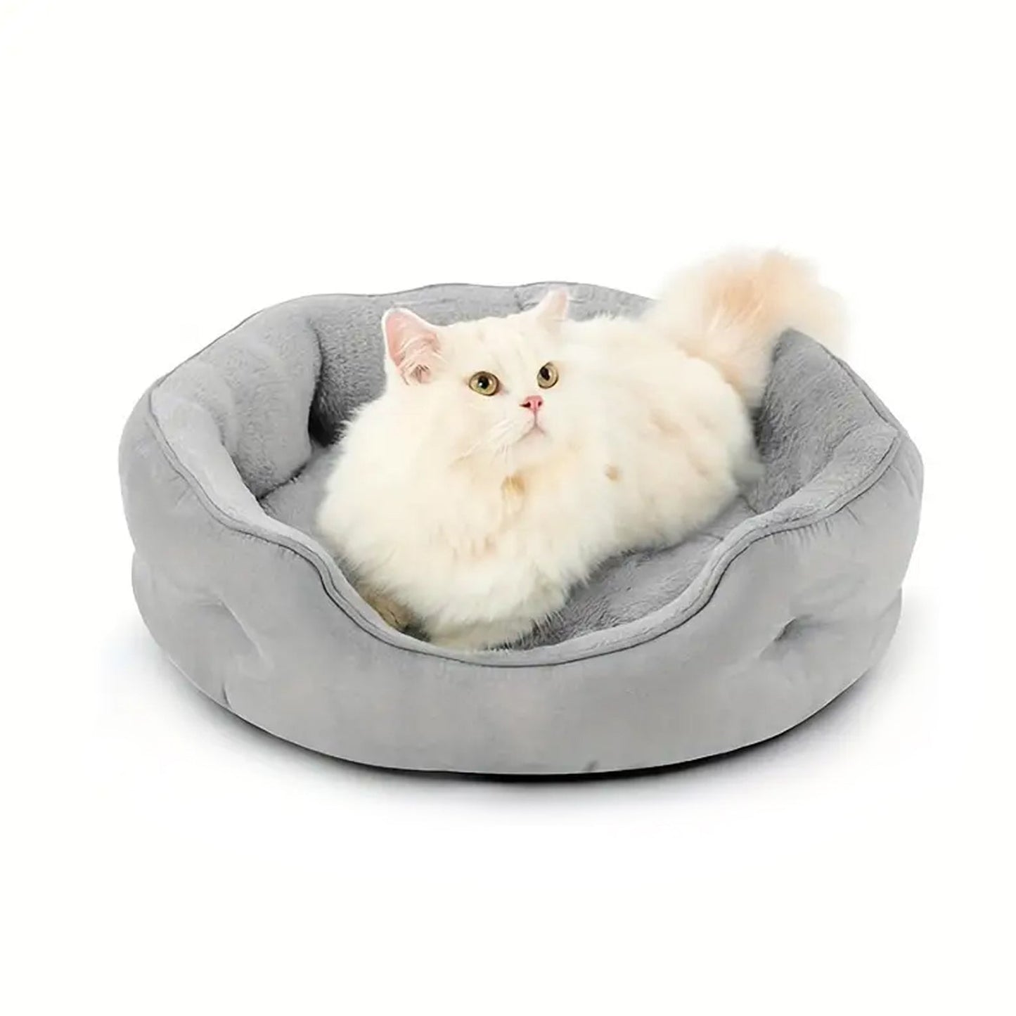 Pet Dog Bed General Thickening Dog Mat (1 Pc / Mix Design & Color) SWASTIK CREATIONS The Trend Point