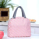 Lunch Bag Portable Insulated Lunch Box Bag With Zipper Closer & Handle (1 Pc)