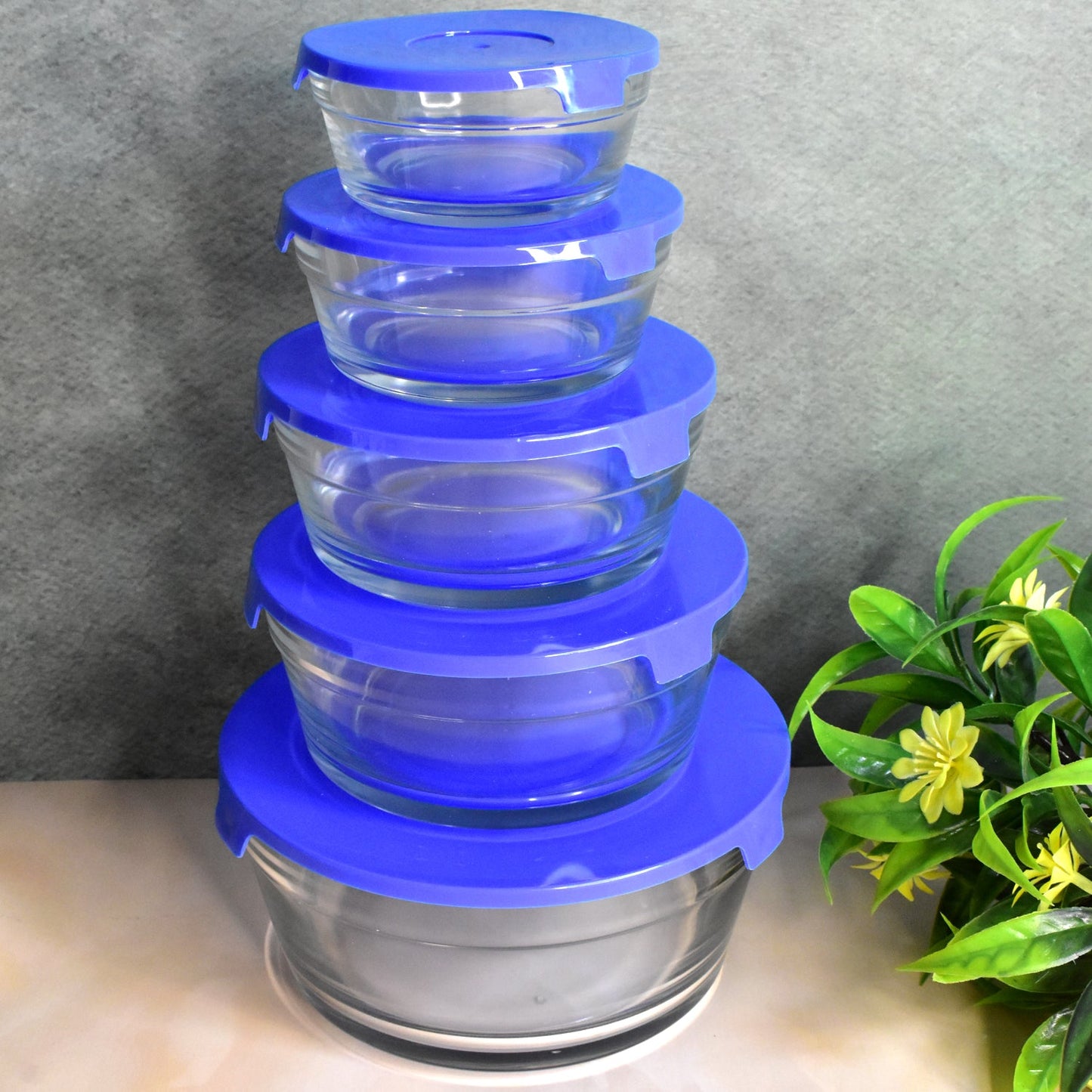 Modern Glass Bowl Set Mixing / Storage Bowls with Lids (5 Pcs Set) SWASTIK CREATIONS The Trend Point