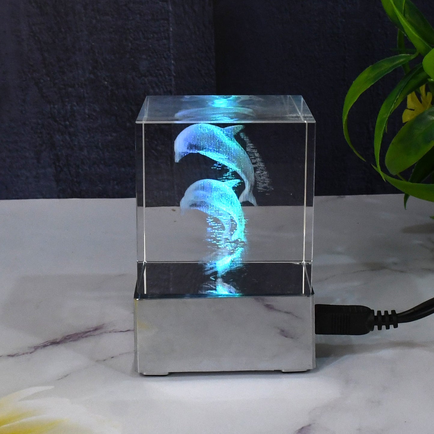 3D Dolphin LED Light, Desk Decor, LED Light Base, USB Charging (1 Pc) SWASTIK CREATIONS The Trend Point