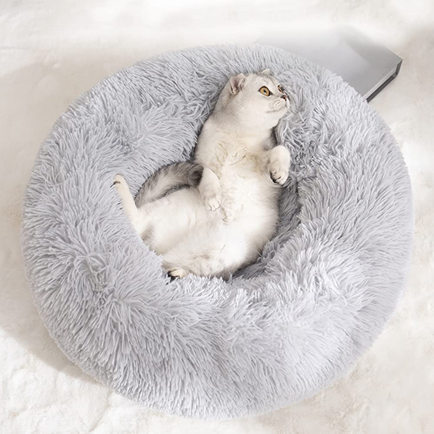 Small Round Dog Beds for Small Dogs and Cats (1 Pc)