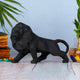 Swastik Creations Lion Sculpture, Resin Animal Figurine for Coffee Tables, Bookshelves, Home Dcor Animal Decoration