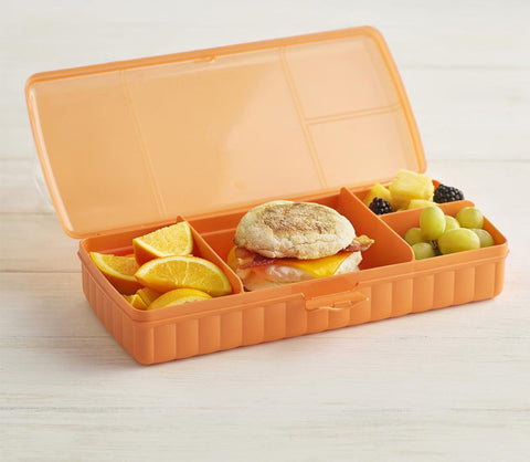 Tupperware SANDWICH KEEPER PLUS - SWASTIK CREATIONS The Trend Point