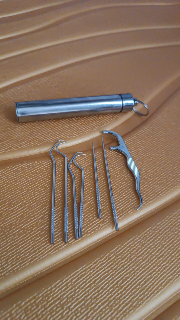 7 IN 1 STAINLESS STEEL TOOTHPICK FLOSSIER SET (1 SET / With Case) SWASTIK CREATIONS The Trend Point