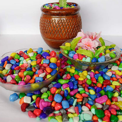 4979 Decorative Stones and Pebbles for Garden, Vase Fillers Multicolor. 