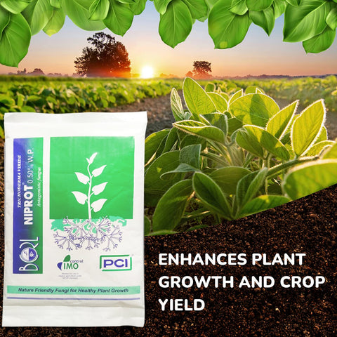 1284 Organic Bio Fungicide for Seeds and Young Plants (1 Kg) - SWASTIK CREATIONS The Trend Point
