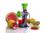 0074C Fruit and Vegetable Juicer nano or mini Juicer - SWASTIK CREATIONS The Trend Point