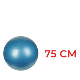 0580 Anti-Burst Gym Ball with Pump (75 cm) - SWASTIK CREATIONS The Trend Point
