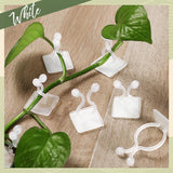 6156 wall Plant Climbing Clip widely used for holding plants and poultry purposes and all. - SWASTIK CREATIONS The Trend Point
