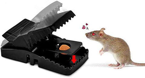 1239 Reusable Plastic Portable Rat/Mice/Mouse Trap - SWASTIK CREATIONS The Trend Point