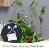 6156 wall Plant Climbing Clip widely used for holding plants and poultry purposes and all. - SWASTIK CREATIONS The Trend Point