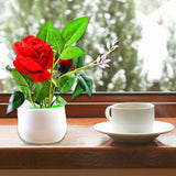 4863 Artificial Rose Flower Plant With Pot, For Home Office Or Gift - SWASTIK CREATIONS The Trend Point