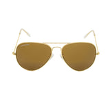 Choriotis-3026 Astor Aviator Brown-Gold Sunglasses For Men & Women~CT-3026 - SWASTIK CREATIONS The Trend Point