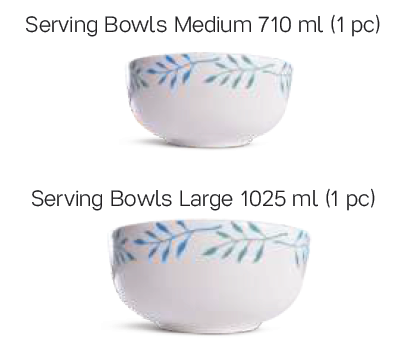 Tupperware PORCELAIN BOWL_SET OF 2 - SWASTIK CREATIONS The Trend Point