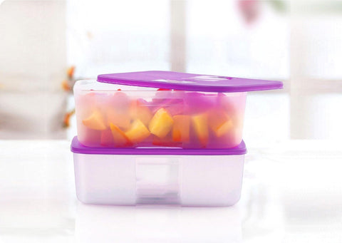 Tupperware FREEZERMATE LARGE 1.5L - SET OF 2 - SWASTIK CREATIONS The Trend Point
